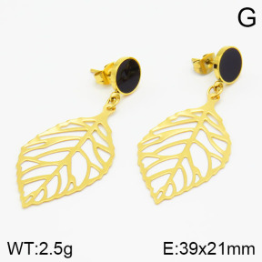 Stainless Steel Earrings  2E4001201vbpb-628