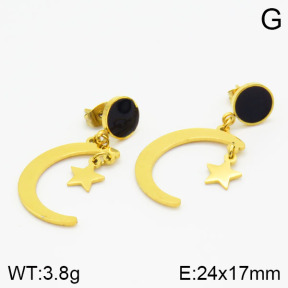 Stainless Steel Earrings  2E4001203bhva-628