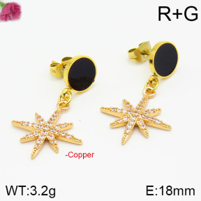 Fashion Copper Earrings  F2E400343bhia-J48