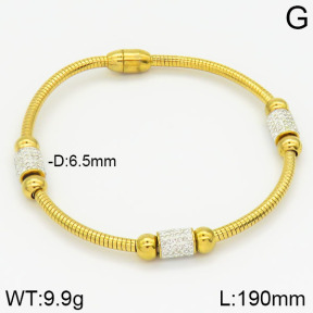 Stainless Steel Bracelet  2B4001309vhkb-212