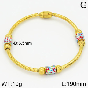 Stainless Steel Bracelet  2B4001310vhkb-212