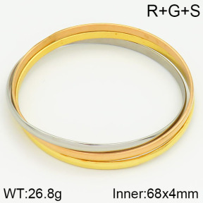 Stainless Steel Bangle  2BA200238vbnb-212