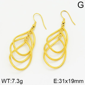 Stainless Steel Earrings  2E2000836vbnb-212