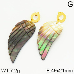 Stainless Steel Earrings  2E3000649vbnb-212