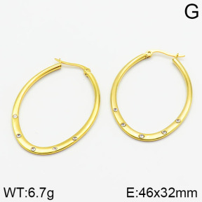 Stainless Steel Earrings  2E4001210avja-212