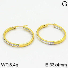 Stainless Steel Earrings  2E4001213vbmb-212
