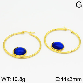 Stainless Steel Earrings  2E4001214vbmb-212
