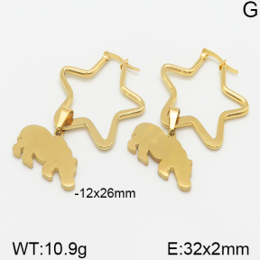 Stainless Steel Earrings  5E2001272aaio-698