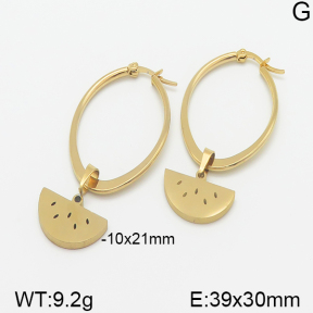 Stainless Steel Earrings  5E2001281avja-698