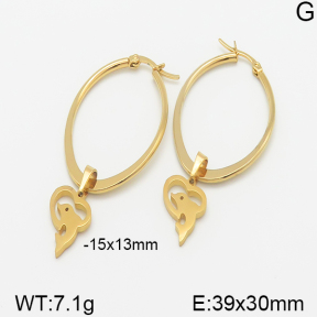 Stainless Steel Earrings  5E2001285avja-698