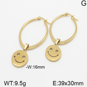 Stainless Steel Earrings  5E2001286avja-698