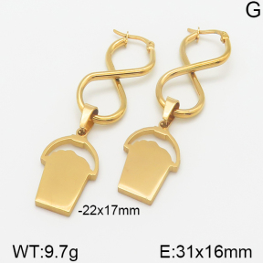 Stainless Steel Earrings  5E2001295aaio-698