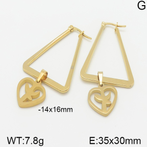 Stainless Steel Earrings  5E2001300avja-698