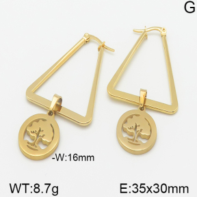 Stainless Steel Earrings  5E2001306avja-698