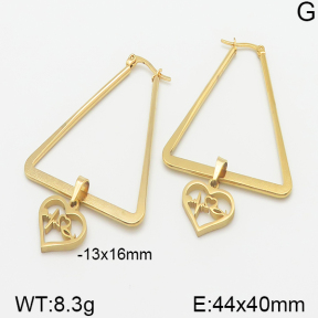 Stainless Steel Earrings  5E2001343aaji-698