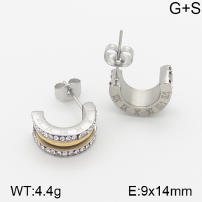 Stainless Steel Earrings  5E4001051vhol-706