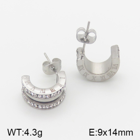 Stainless Steel Earrings  5E4001052ahlv-706