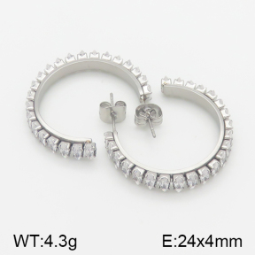 Stainless Steel Earrings  5E4001055bhil-706