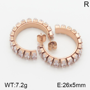 Stainless Steel Earrings  5E4001060vhkl-706