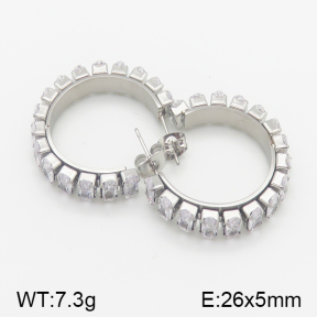 Stainless Steel Earrings  5E4001061bhil-706