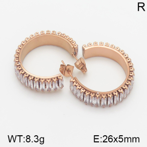 Stainless Steel Earrings  5E4001063vhkl-706