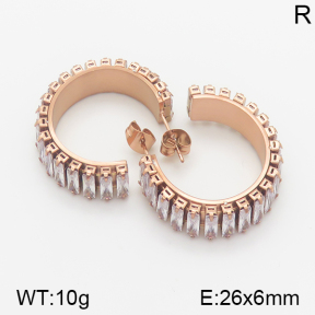 Stainless Steel Earrings  5E4001066vhkl-706