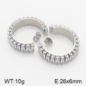 Stainless Steel Earrings  5E4001067bhil-706