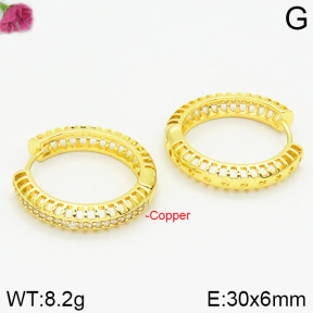 Fashion Copper Earrings  F2E400345bhia-J111