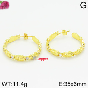 Fashion Copper Earrings  F2E400349bhia-J111