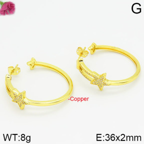 Fashion Copper Earrings  F2E400355bhia-J111