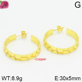 Fashion Copper Earrings  F2E400361bhia-J111
