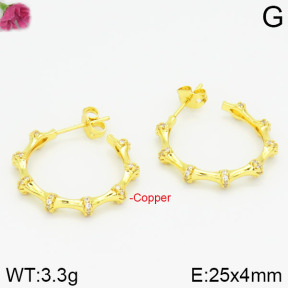Fashion Copper Earrings  F2E400370bhia-J111