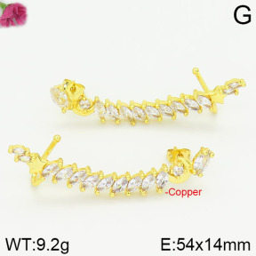 Fashion Copper Earrings  F2E400382vhov-J111