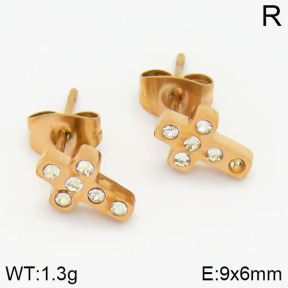 Stainless Steel Earrings  2E4001242vbnb-635