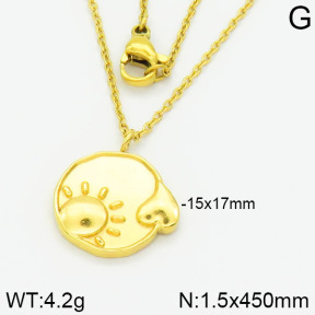 Stainless Steel Necklace  2N2001091vbpb-666