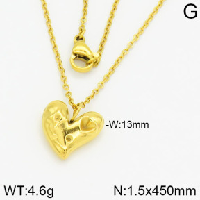 Stainless Steel Necklace  2N2001100vbpb-666
