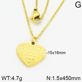 Stainless Steel Necklace  2N2001101vbpb-666