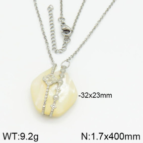 Stainless Steel Necklace  2N3000510ahlv-666