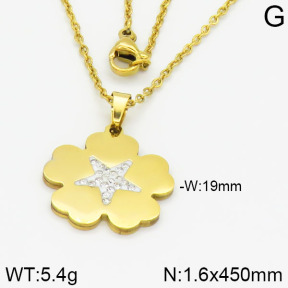 Stainless Steel Necklace  2N4000653vbnl-666
