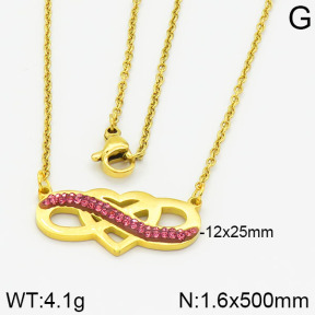 Stainless Steel Necklace  2N4000657vbnl-666