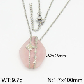 Stainless Steel Necklace  2N4000659ahlv-666
