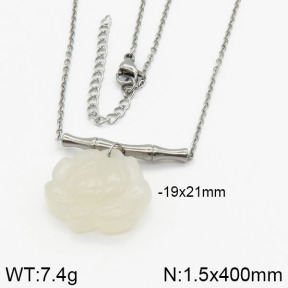 Stainless Steel Necklace  2N4000660bhia-666