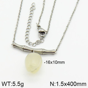 Stainless Steel Necklace  2N4000661bhia-666