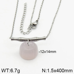 Stainless Steel Necklace  2N4000662bhia-666