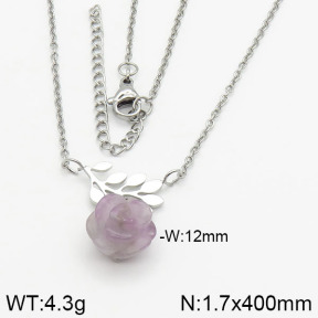 Stainless Steel Necklace  2N4000663bhia-666