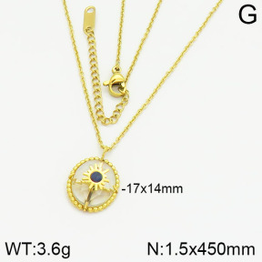 Stainless Steel Necklace  2N4000687ahlv-635