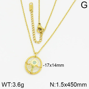 Stainless Steel Necklace  2N4000688ahlv-635