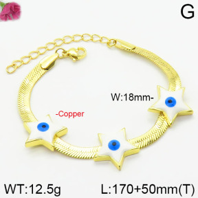 Fashion Copper Bracelet  F2B300151vhha-J111