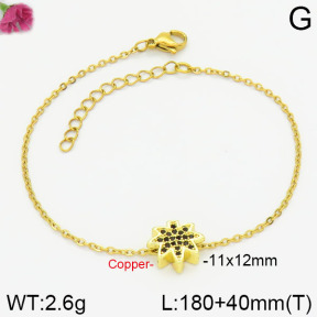 Fashion Copper Bracelet  F2B400562vbnb-J111