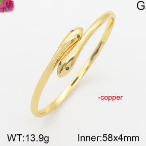Fashion Copper Bangle  F5BA40536vhmv-J111